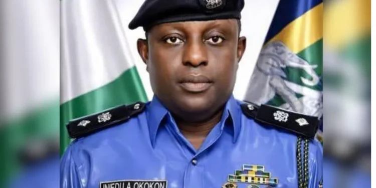 Nigeria Police Force gets new public relations officer