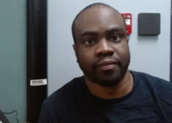 American government deports Nigerian after domestic violence, other convictions