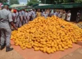 Nigeria Customs Service seize N4.63billion contrabands, generates N259.8million revenue in ogun state