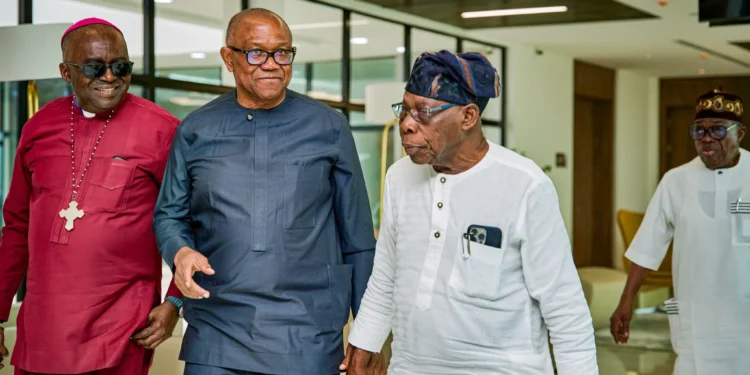 Peter Obi meets Obasanjo
