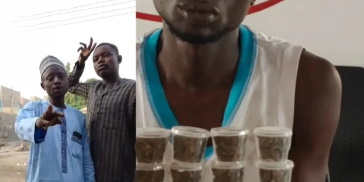 Man bags seven-year jail term for advertising cannabis online