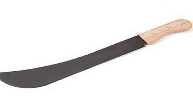 87-year-old man allegedly attacks judge with cutlass in court