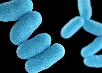 Plateau state government shuts schools over diphtheria outbreak