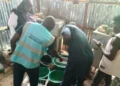 Local government shuts ice cream factories over hygiene violations
