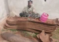 36-year-old man arrested for vandalising railway infrastructure in Ogun state
