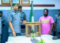 Customs seize three live pangolins in suspected wildlife-trafficking operation in Ogun state