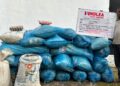 Italy-bound bussinessman intercepted with cocaine consignments,fugitive nabbed six years after jumping bail